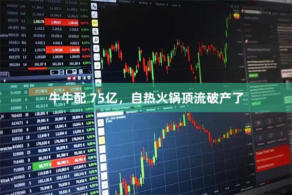 牛牛配 75亿，自热火锅顶流破产了